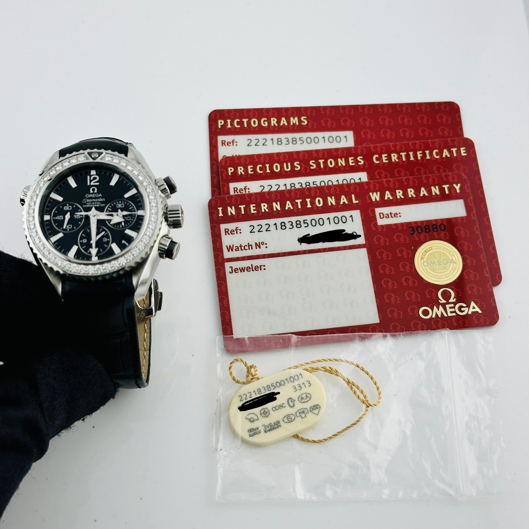 Omega Planet Ocean 600M Black Dial on Leather Band Ref. 222.18.38.50.01.001 Card Open Date — view 8