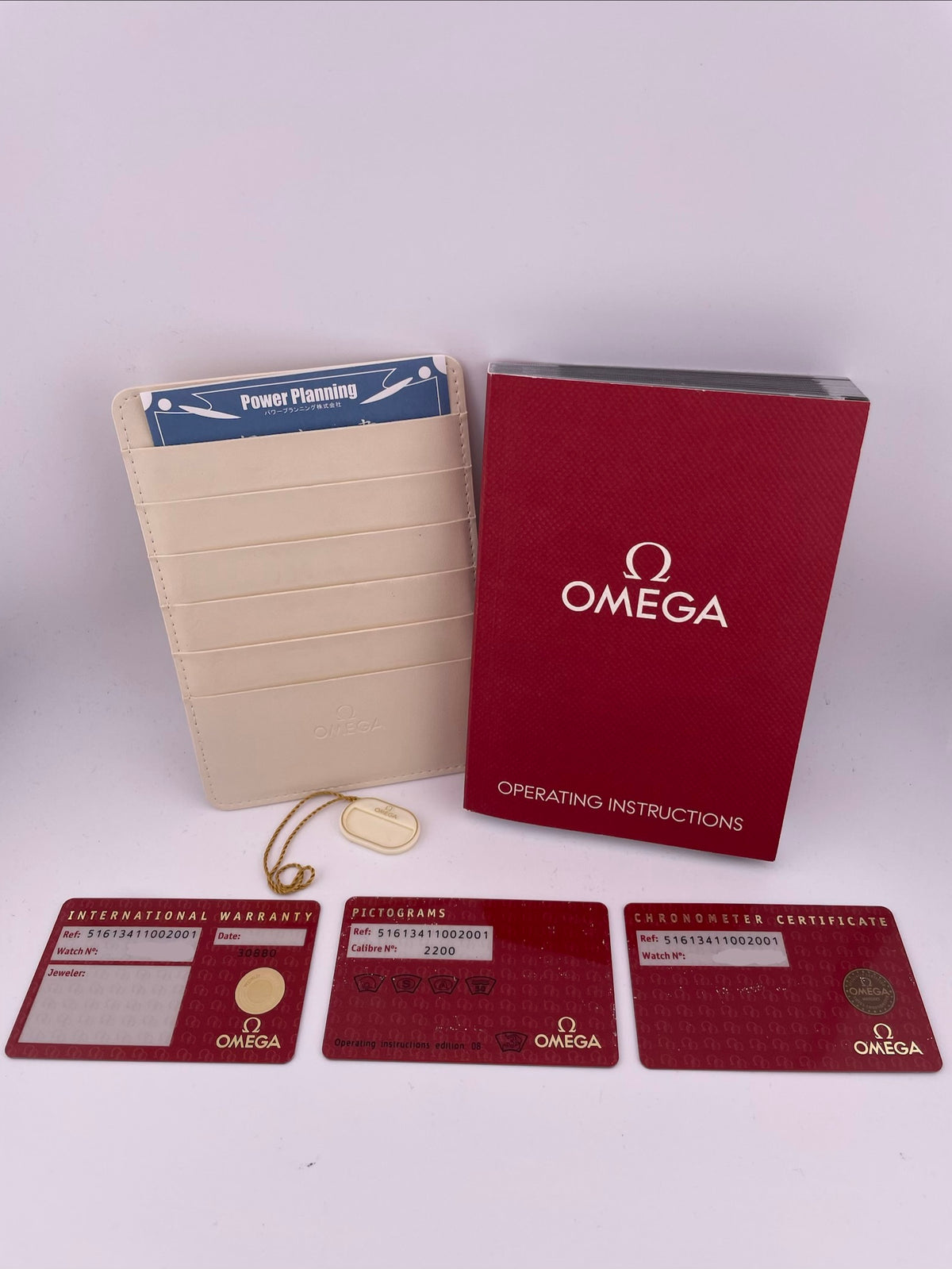 Omega Museum Silver Roman Numerals Dial on Brown Leather Strap Ref. 516.13.41.10.02.001 Complete Open Date — view 7